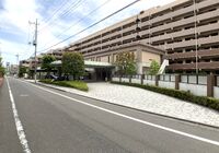 IMG_2456