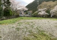 IMG_2171
