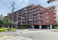 IMG_E0862